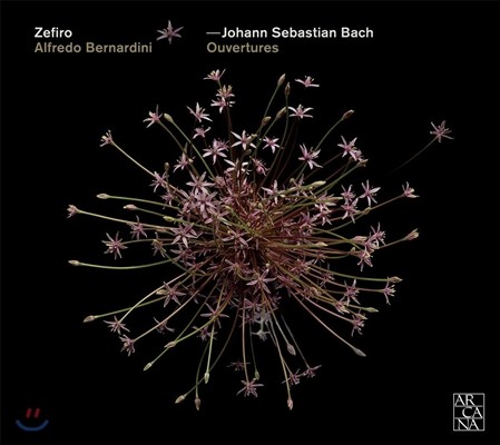Zefiro :  (J.S. Bach: Ouvertures BWV119r, 1066, 1068, 194r, 1069) Ƿ