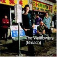 Wallflowers - Breach