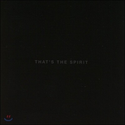 Bring Me The Horizon (브링 미 더 호라이즌) - That'S The Spirit