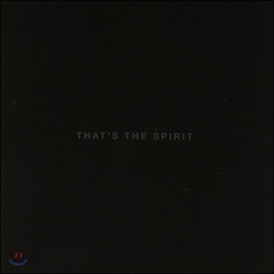 Bring Me The Horizon (브링 미 더 호라이즌) - That'S The Spirit