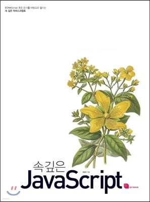 속 깊은 자바스크립트