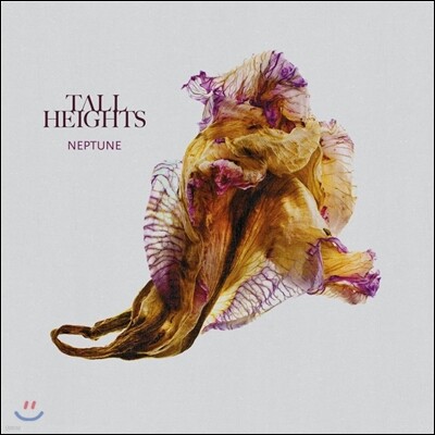 Tall Heights — Neptune 앨범 커버