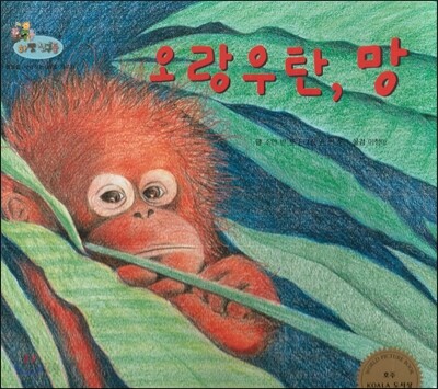 하펫친구들 세계의 그림책 03 오랑우탄, 망 (동물을 사랑하는 마음 기르기)