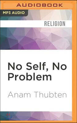 No Self, No Problem: Awakening to Our True Nature