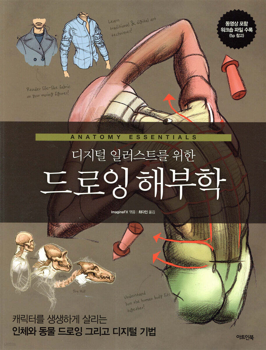 드로잉 해부학
