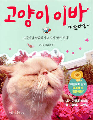 고양이 이바가 왔다옹 : 고양이님 말씀하시고 집사 받아 적다 본격 고양이 시점 에세이