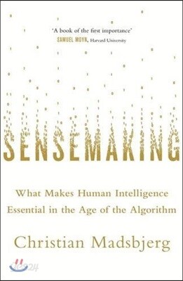 Sensemaking