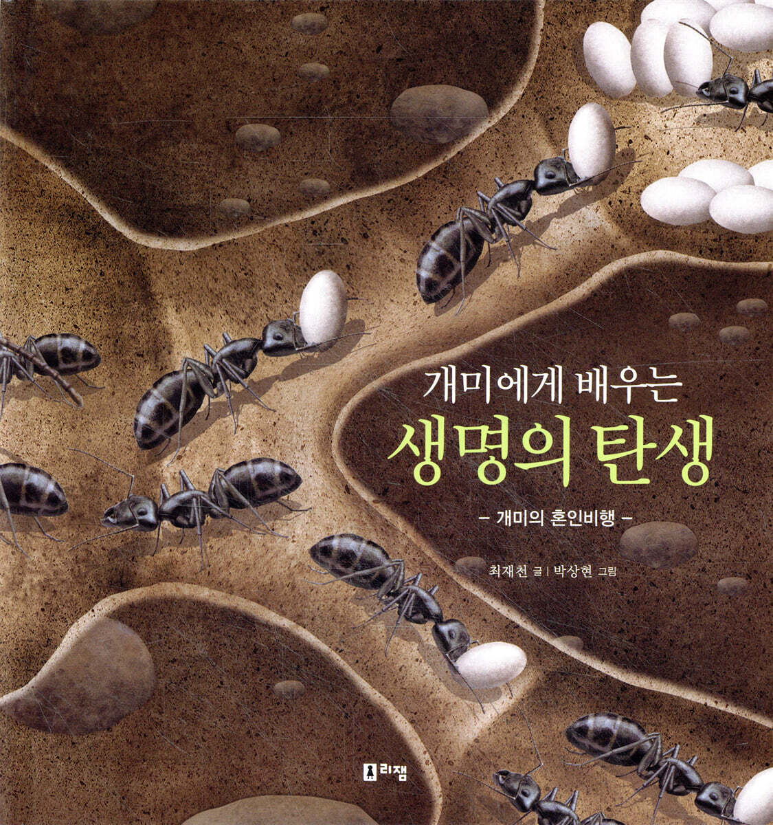 개미에게 배우는 생명의 탄생