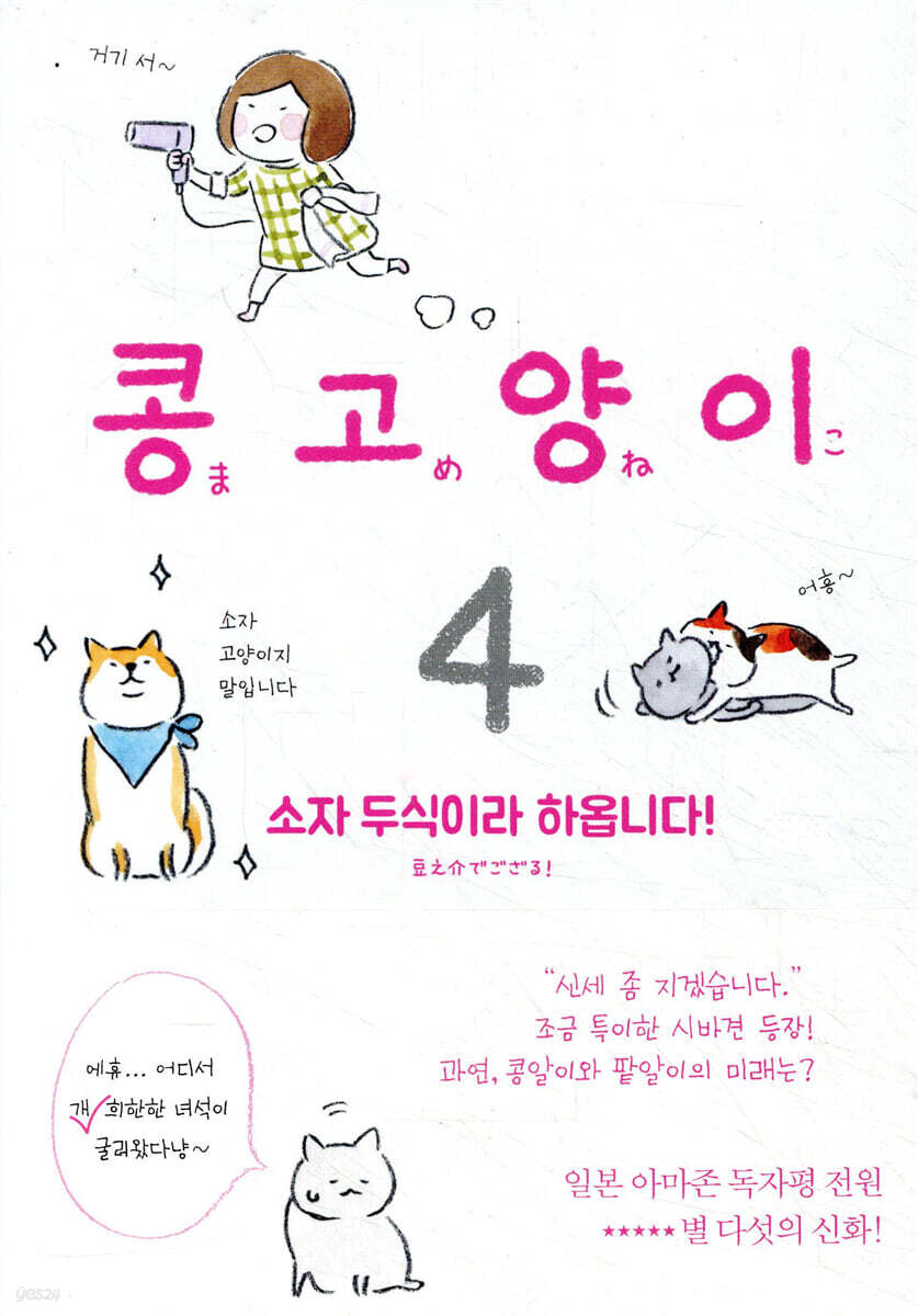 콩고양이 4