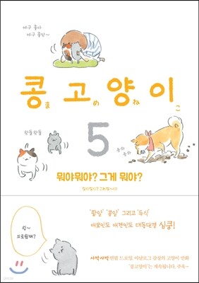 콩고양이 5