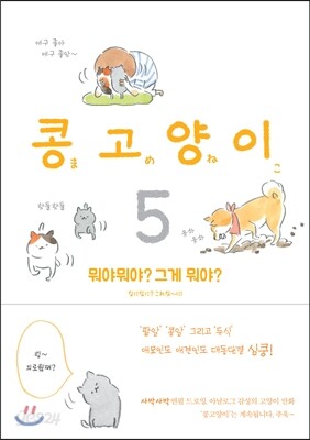 콩고양이 5