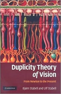 Duplicity Theory of Vision