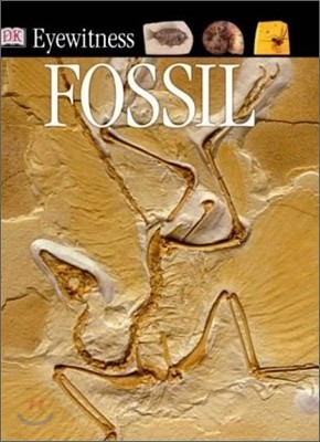 DK Eyewitness : Fossil