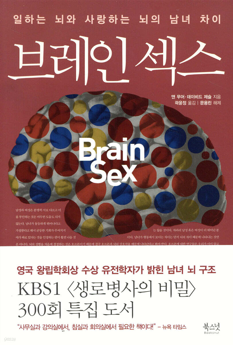 브레인 섹스