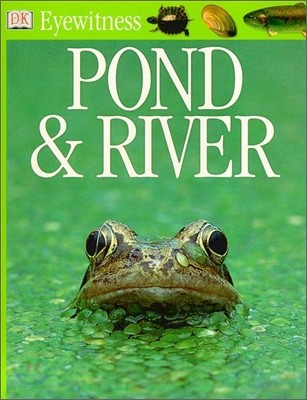 DK Eyewitness : Pond & River