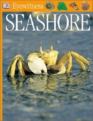 DK Eyewitness : Seashore