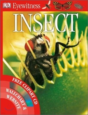 DK Eyewitness : Insect (Book+CD)