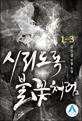 시리도록 불꽃처럼 1-3