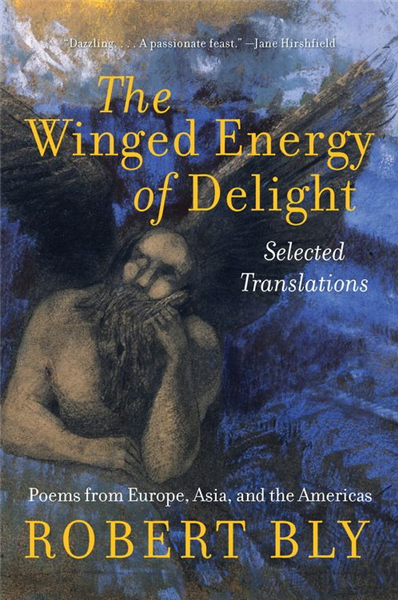 The Winged Energy of Delight