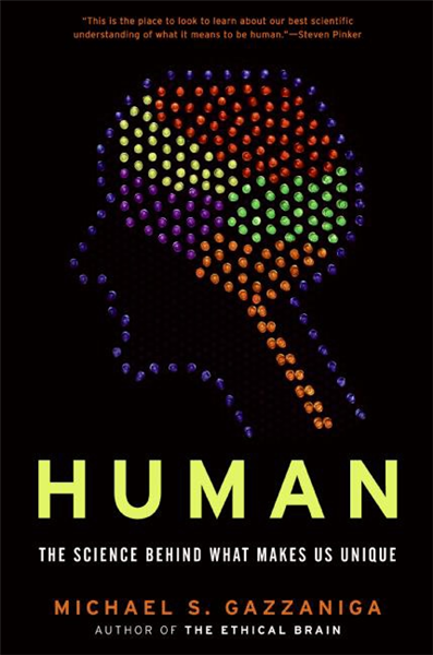 Human