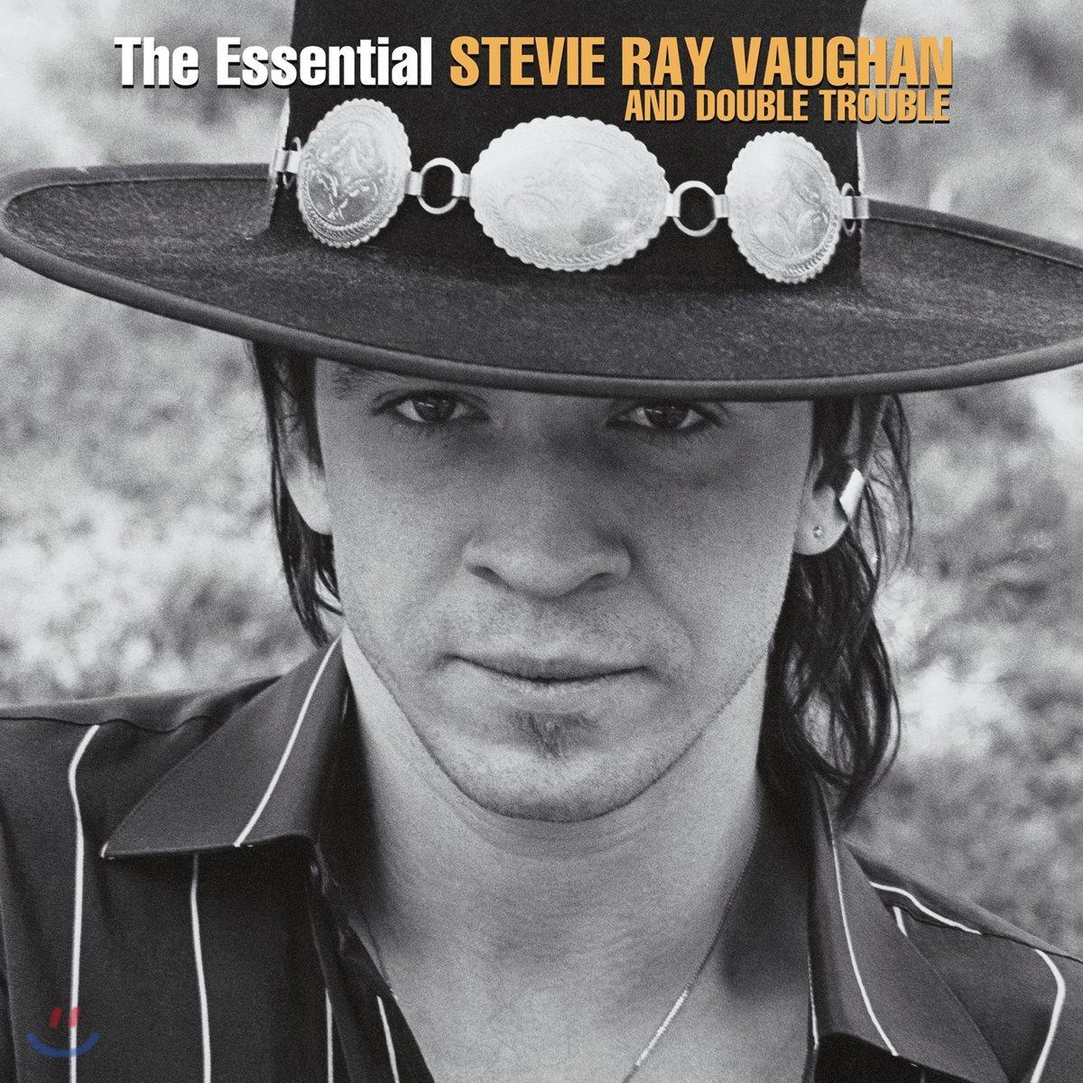 Stevie Ray Vaughan and Double Trouble - The Essential 스티비 레이 본 앤 더블 트러블 베스트 앨범 [2LP]