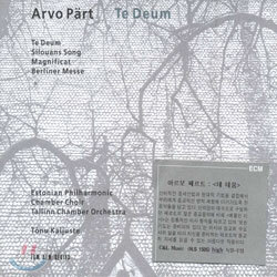 Estonian Philharmonic Chamber Choir 아르보 패르트: 테 데움 (Arvo Part : Te Deum)