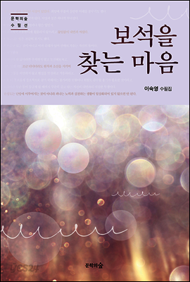 보석을 찾는 마음 - 문학의숲 수필선