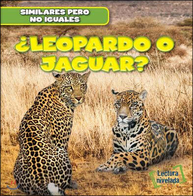 ¿Leopardo O Jaguar? (Leopard or Jaguar?)