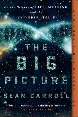 The Big Picture: On the Origins of Life, Meaning, and the Universe Itself