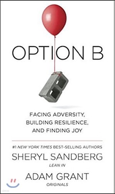 Option B: Facing Adversity, Building Resilience, and Finding Joy