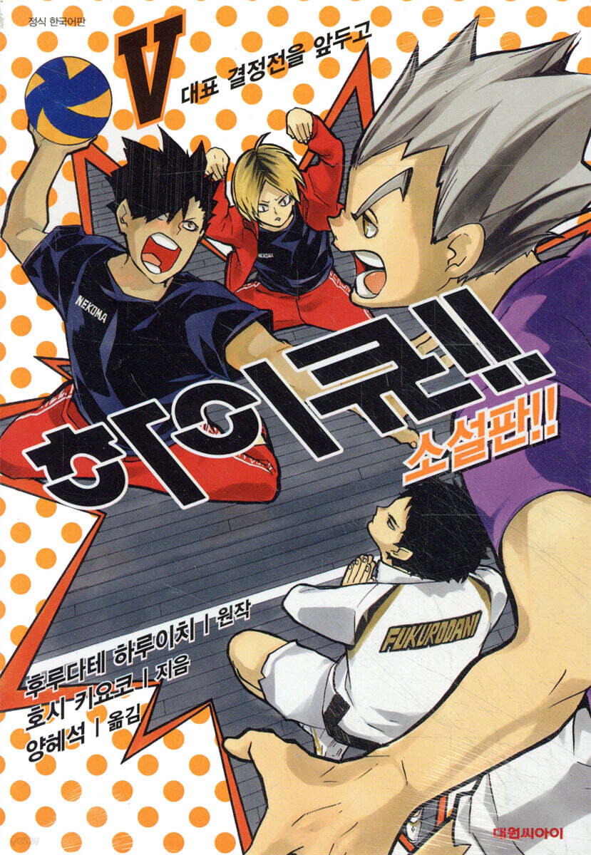 하이큐!! 소설판!! 5