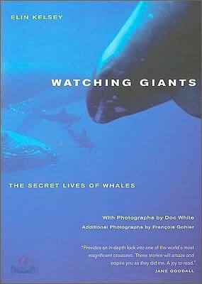 Watching Giants: The Secret Lives of Whales