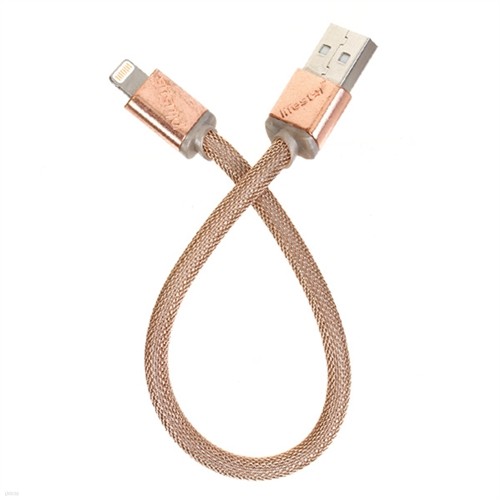 [ǰ] Plusus LifeStar Designer iPhone/iPad Cable Rose Gold(18K Gold) 24cm