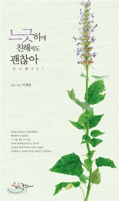 느긋하게 친해져도 괜찮아 산나물 421