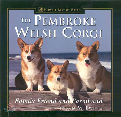 The Pembroke Welsh Corgi