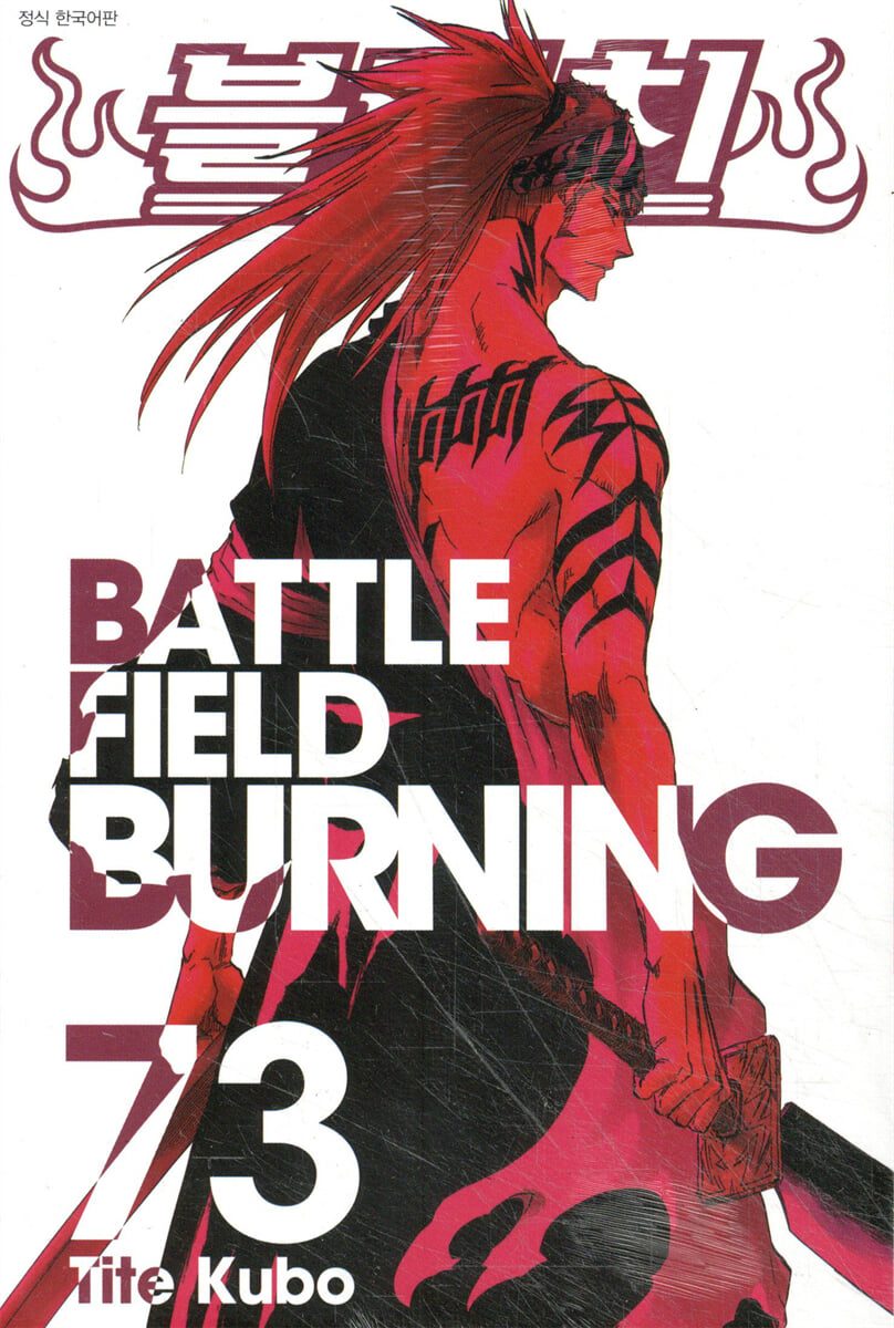 블리치 BLEACH 73
