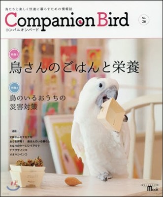 Companion Bird  26
