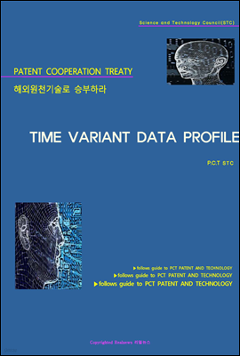 ؿܿõ º϶ TIME VARIANT DATA PROFILE