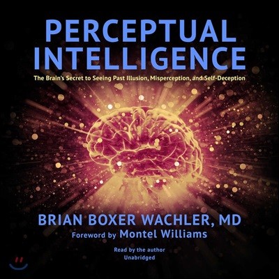 Perceptual Intelligence Lib/E: The Brain's Secret to Seeing Past Illusion, Misperception, and Self-Deception