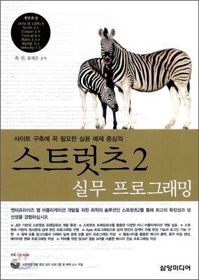 스트럿츠 2