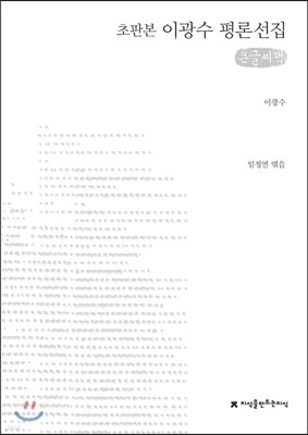 이광수 평론선집 큰글씨책