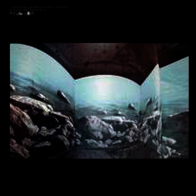 Future Sound Of London - Environments 6.5 (Vinyl LP)