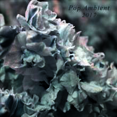 Various Artists - Pop Ambient 2017 (180G)(LP)