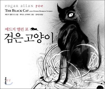 검은 고양이