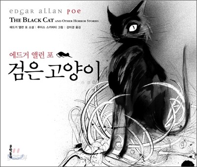 검은 고양이