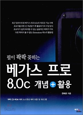 베가스 프로 8.0C 개념 활용