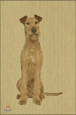 Irish Terrier: Artified Pets Journal/Notebook/Diary, 6 by 9 and 160 Pages