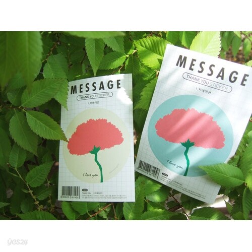 메세지스티커(카네이션)