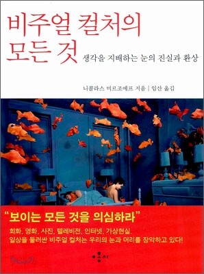 비주얼 컬처의 모든 것