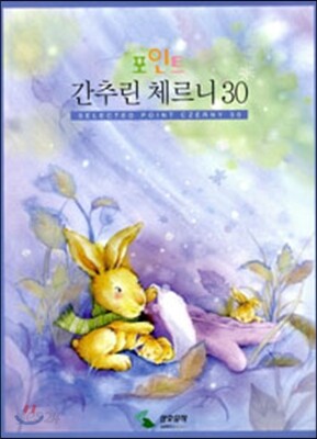 포인트 간추린 체르니 30